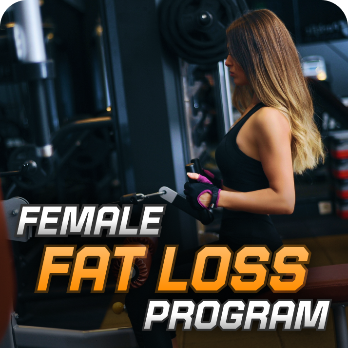 Collection Banner Image